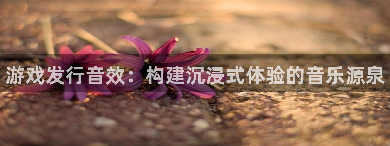 杏耀技术有限公司怎么样：游戏发行音效：构建沉浸式体验的音乐源泉