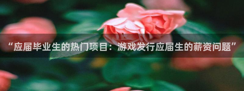 杏耀红酒怎么样：“应届毕业生的热门项目：游戏发行应届生的薪资问题”