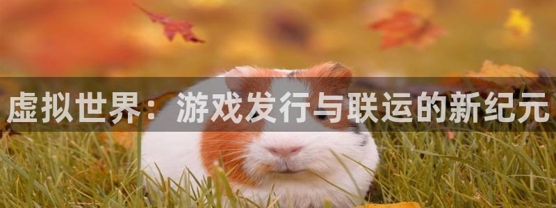 杏耀官网注册地址在哪里：虚拟世界：游戏发行与联运的新纪元