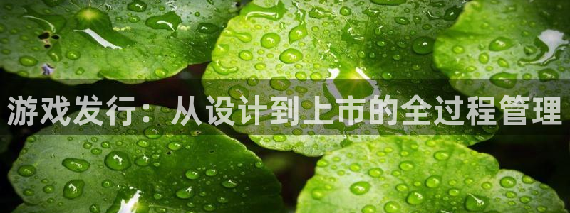 广东杏耀营销策划有限公司：游戏发行：从设计到上市的全过程管理