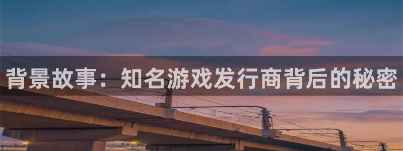 杏耀电子商务有限公司怎么样知乎：背景故事：知名游戏发行商背后的秘密