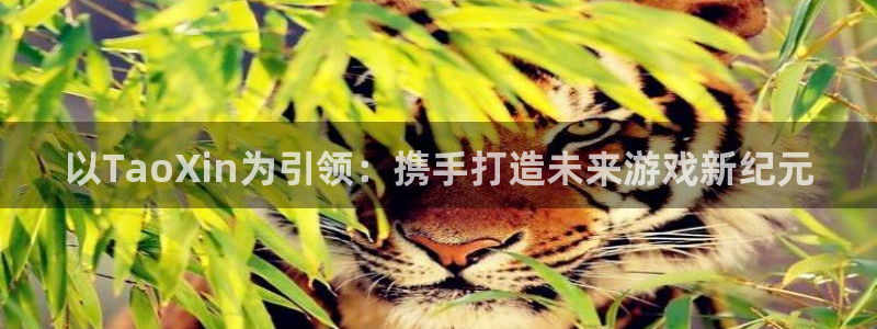 杏耀子财经出版中心