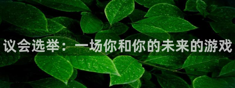 杏耀平台