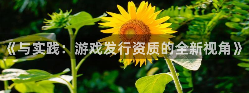 杏耀官网游戏平台介绍